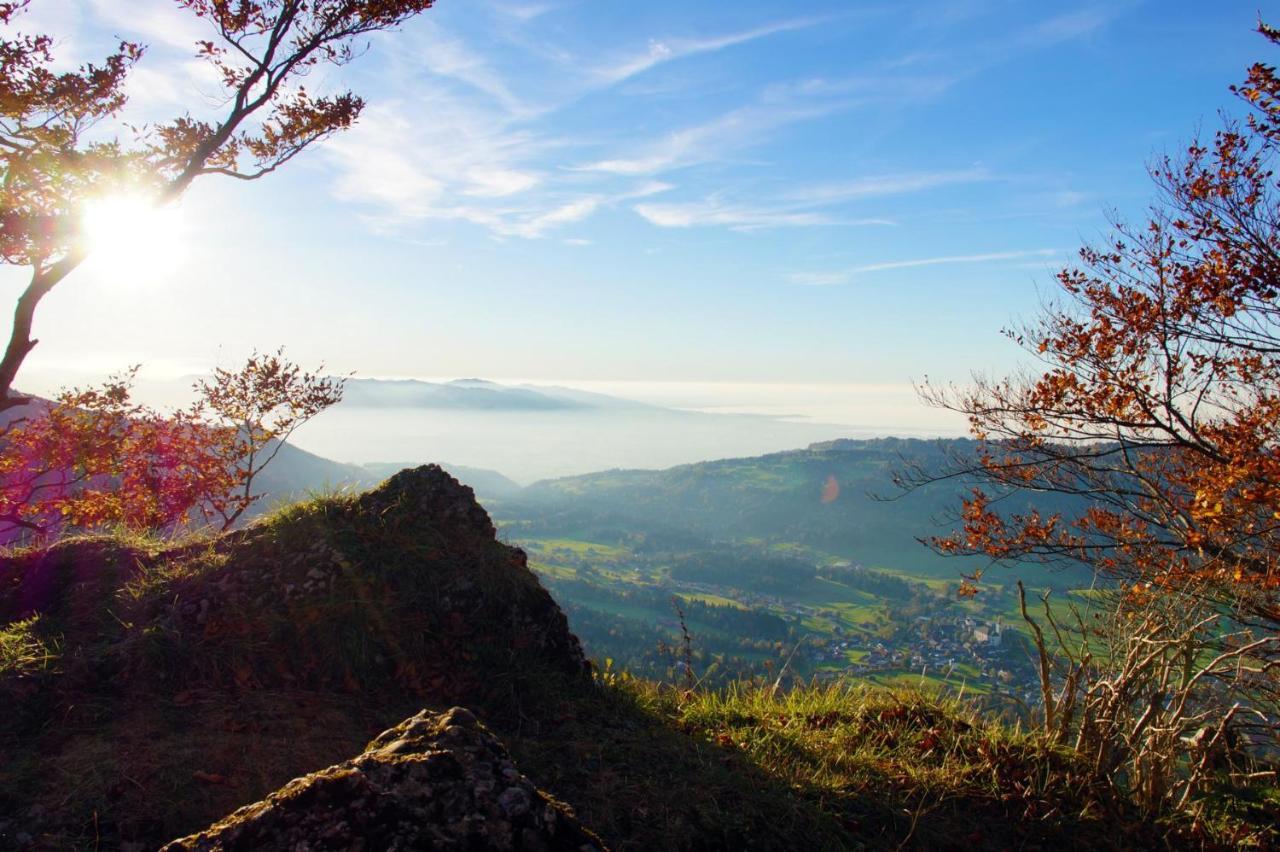 Alpengasthof Brueggele Hotel อัลเบอร์ชเวนเดอ ภายนอก รูปภาพ