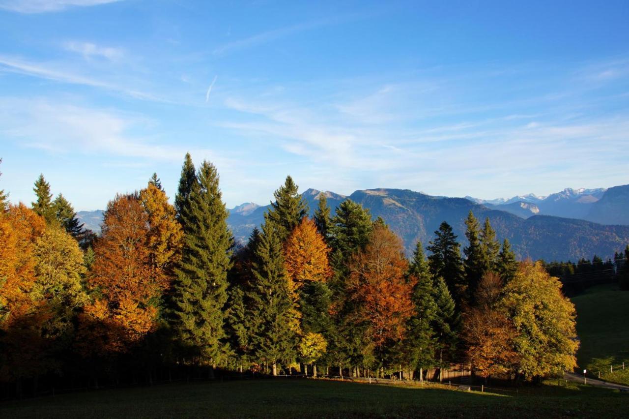 Alpengasthof Brueggele Hotel อัลเบอร์ชเวนเดอ ภายนอก รูปภาพ